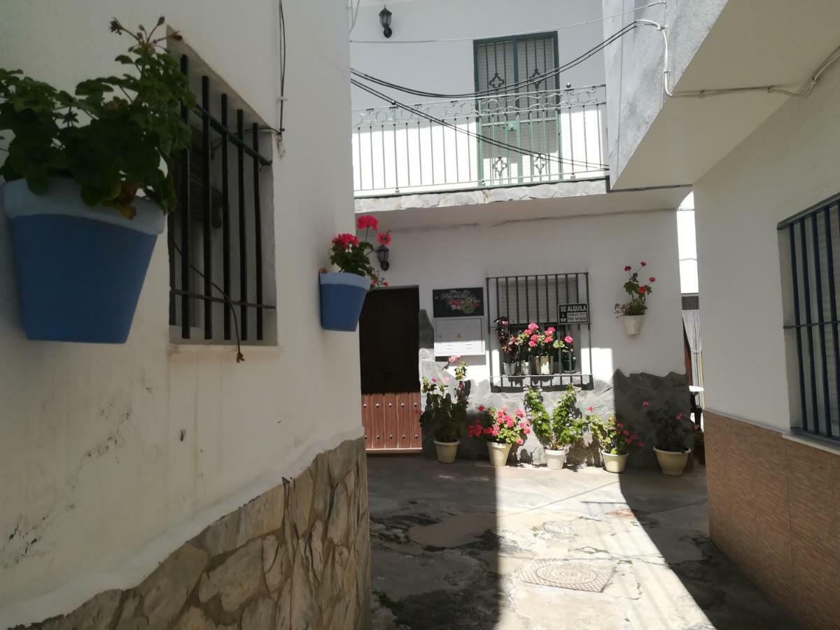 Casa Pepa Διαμέρισμα Conil De La Frontera Εξωτερικό φωτογραφία